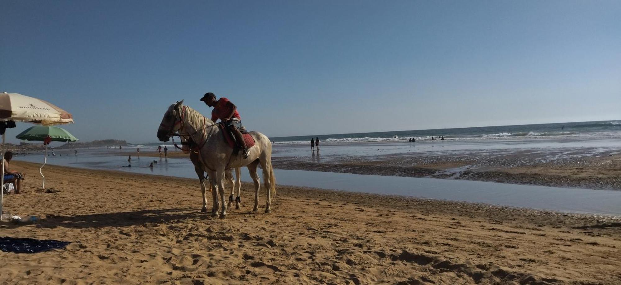 Appart Oubaha Tamrakht Taghazout Agadir Pokój zdjęcie